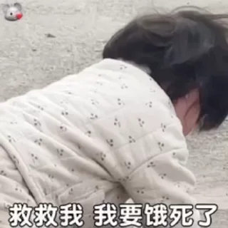 Video sticker 🌟 @laogaozhuroudian 老高猪肉店