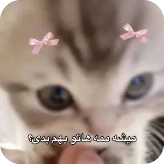 Video sticker 🎀 ریحون💅🏻 @R_ey0