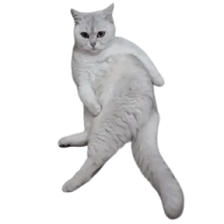 Sticker 💅 Пуньк