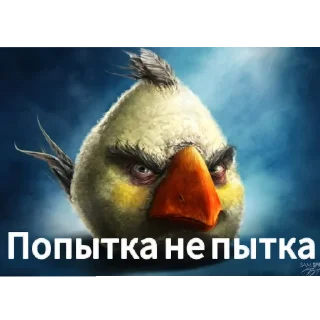 Telegram sticker 🐦 Негри бердс