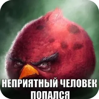 Telegram sticker 🖼 Негри бердс