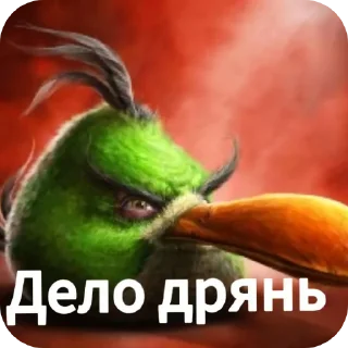 Video sticker 🐦 Негри бердс
