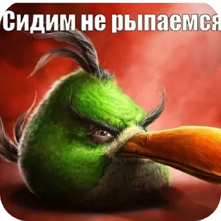 Telegram sticker 🐦 Негри бердс
