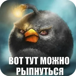 Video sticker 🐦 Негри бердс