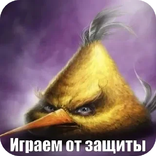 Video sticker 🖼 Негри бердс