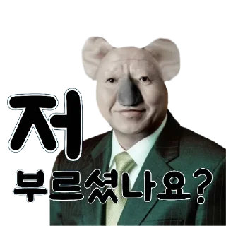 Telegram sticker 🐨 누알라전용🐨