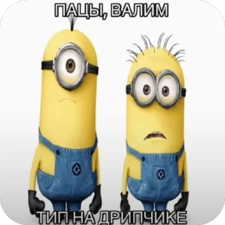 Video sticker 🫥 shabolda