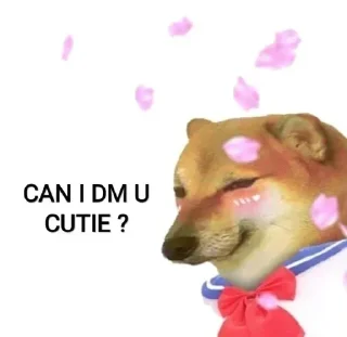 Sticker ☺️ FLIRT PACK || @PANDIT_OP