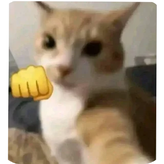 Telegram sticker 👊 SADpopeye