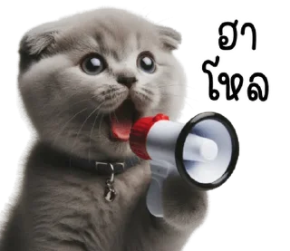 Video sticker ⭐ @JKSSTIK30