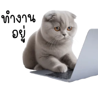 Telegram sticker ⭐ @JKSSTIK30