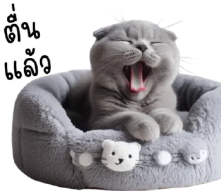 Video sticker ⭐ @JKSSTIK30