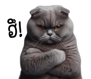 Telegram sticker ⭐ @JKSSTIK30