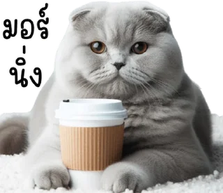 Sticker ⭐ @JKSSTIK30