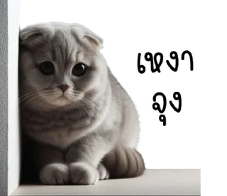 Telegram sticker ⭐ @JKSSTIK30