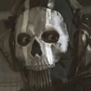 Video sticker 👀 CoD memes