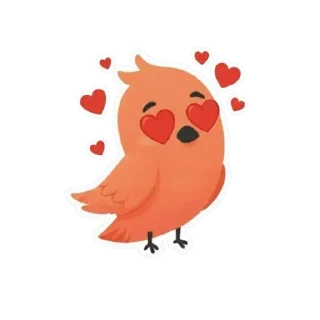 Video sticker 😍 비식이