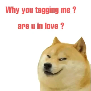 Video sticker ❤️ FLIRTING vro :: @fStikBot