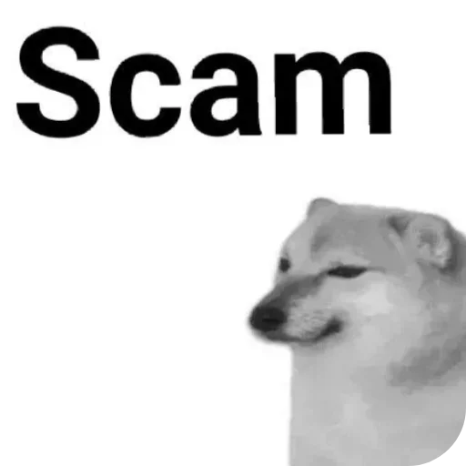 Telegram sticker 🤨 JUST4FUN