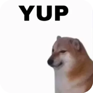 Video sticker 👍 JUST4FUN