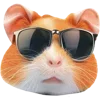 Sticker 😎 Hamster Kombat @Faittereya