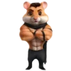 Video sticker 🐹 Hamster Kombat @Fa...