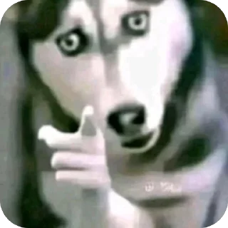 Telegram sticker 🫥 ransom