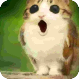 Video sticker 🫥 ransom