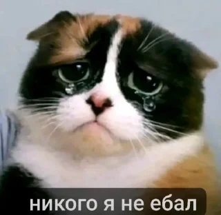 Телеграм стикер 🤩 Больше стиков тут: @stikery4