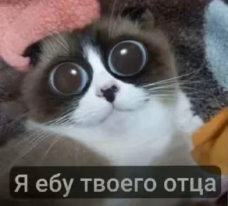 Телеграм стикер 🤩 Больше стиков тут: @stikery4