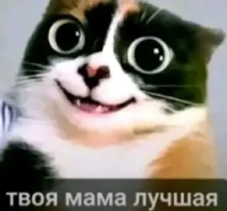 Sticker 🤩 Больше стиков тут: @stikery4