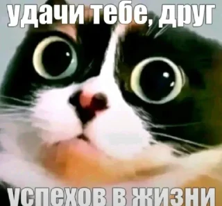 Video sticker 🤩 Больше стиков тут: @stikery4