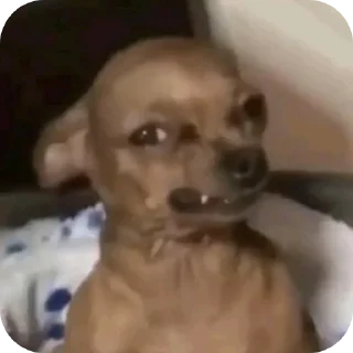 Telegram sticker 👍 Desaez