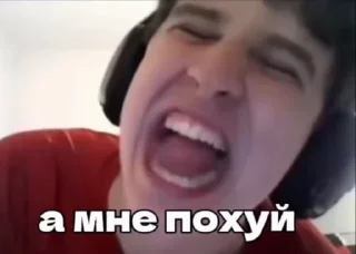 Video sticker 🤩 леха павс @TgEmodziBot