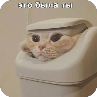 Sticker 🫥 Сд хач