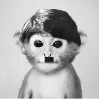 Telegram stiker 🛡 my asshole burns's pack