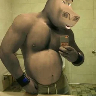 Telegram stiker 🛡 my asshole burns's pack