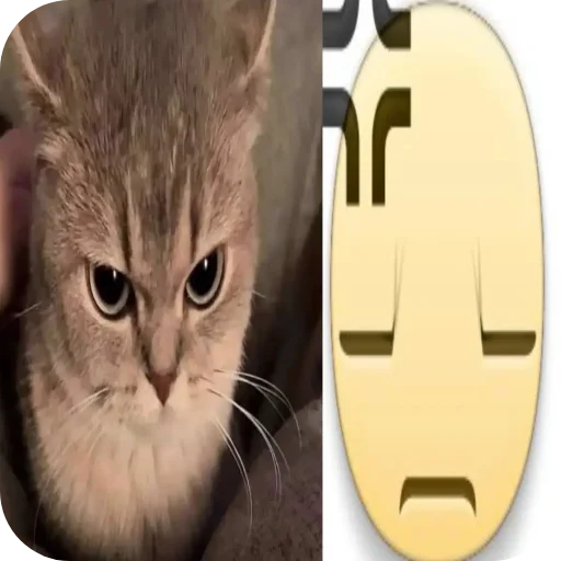 Telegram sticker 🐱 hell9