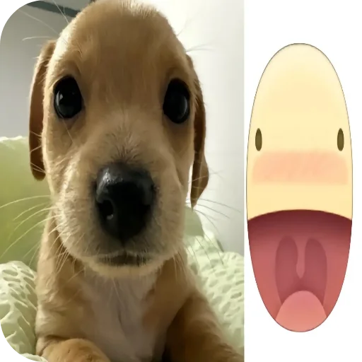 Telegram sticker 🐶 hell9