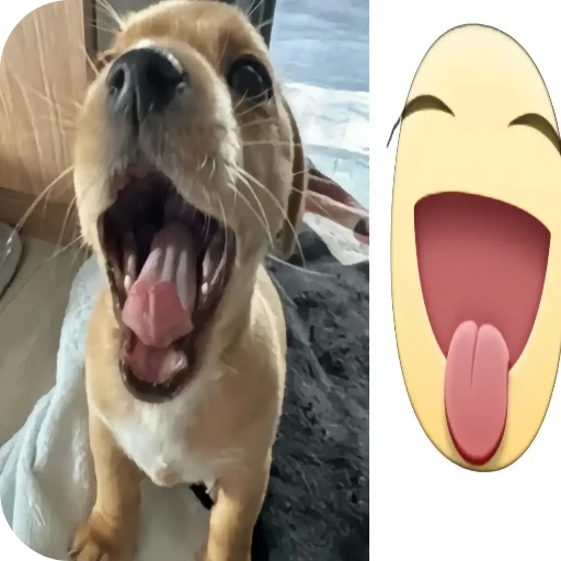Telegram sticker 🐶 hell9