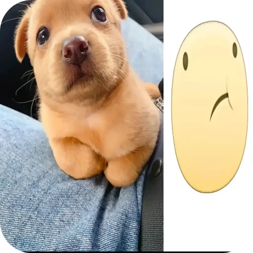 Telegram sticker 🐶 hell9