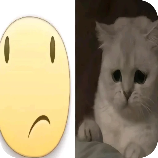 Telegram sticker 🐱 hell9