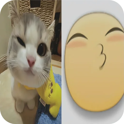 Telegram sticker 🐱 hell9
