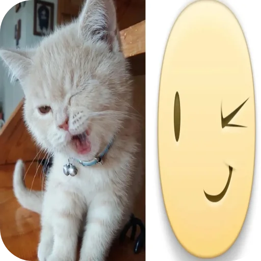 Telegram sticker 👍 hell9