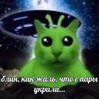 Telegram sticker 🌟 Мяумяу :: @fStikBot