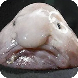 Телеграм стикер 🎨 @IM3XT PACK