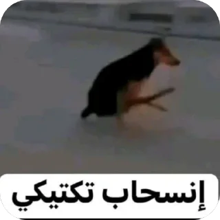 Телеграм стикер 🧍‍♂️ @IM3XT PACK