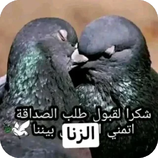 Телеграм стикер ❤ @IM3XT PACK