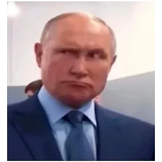 Telegram sticker 🤨 СИБИРСКАЯ ПТИЦЕФАБРИКА