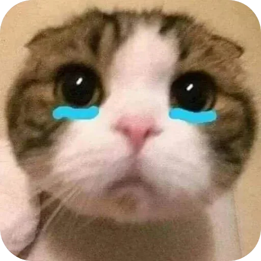 Telegram sticker 🥺 အူရှီဟာ_မောင်သူရ